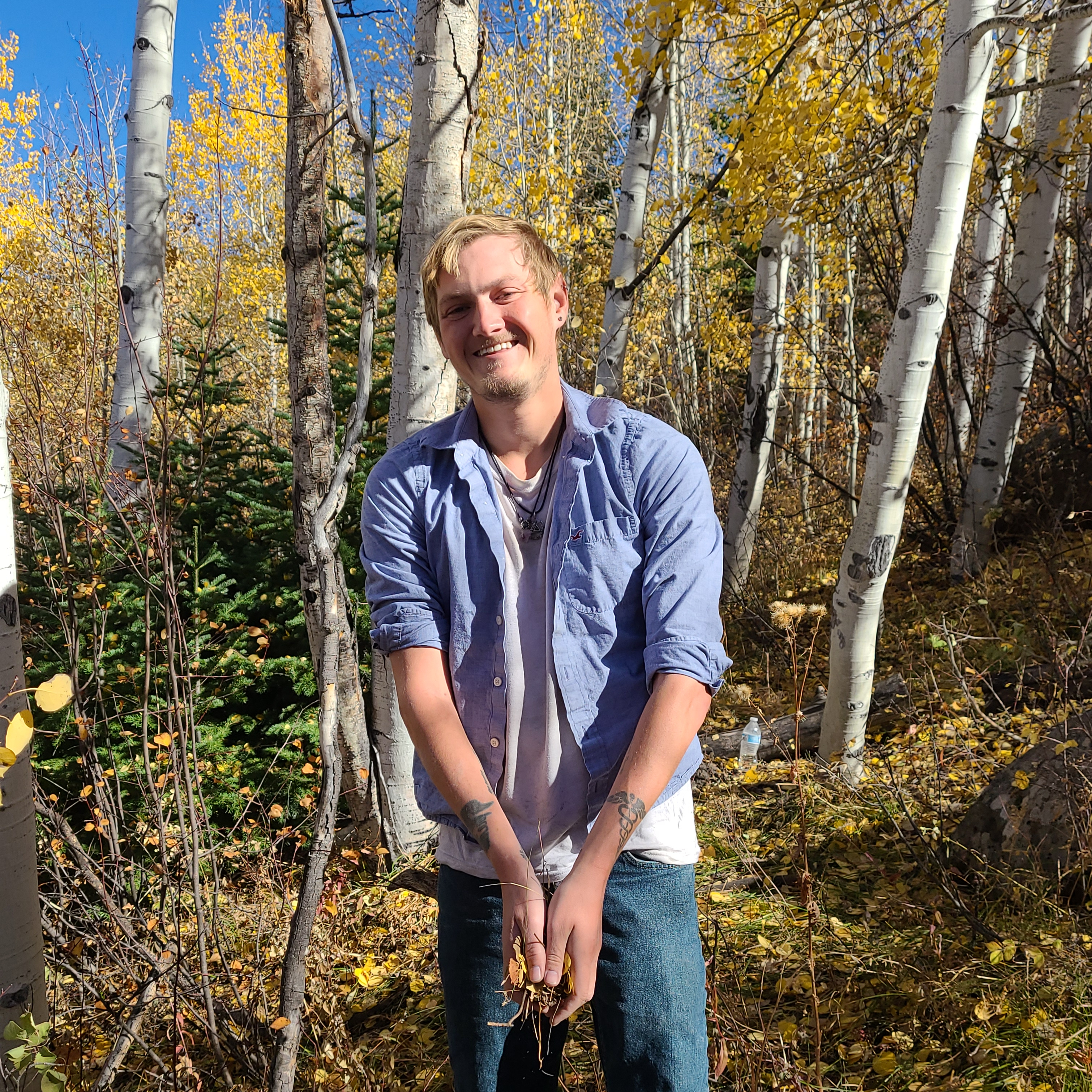 Avalon mystical practice